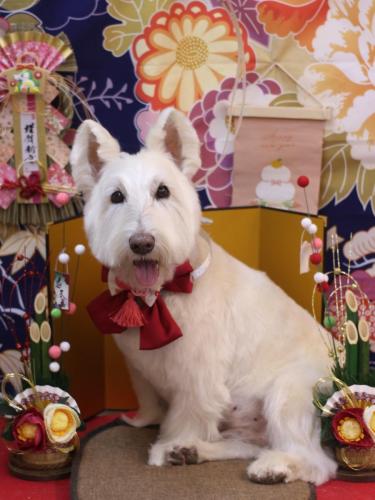 20240111ムーミンくん